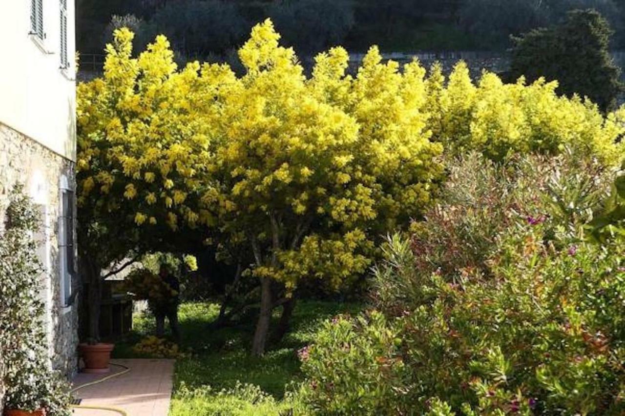 Agriturismo San Michele Di Danio Giovanni Дольчедо Екстер'єр фото